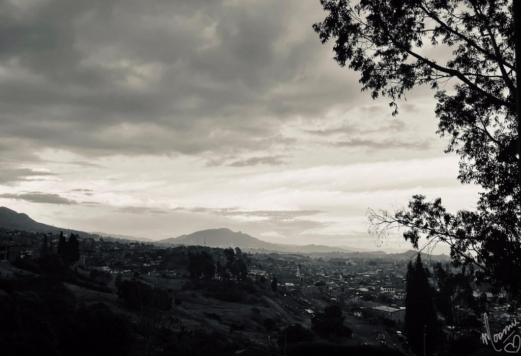 Black and white photograph of houses in a valley with mountains on left and background and a tree on right foreground. It is cloudy and misty with low light. 